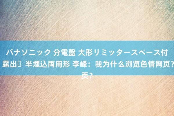 パナソニック 分電盤 大形リミッタースペース付 露出・半埋込両用形 李峰：我为什么浏览色情网页？