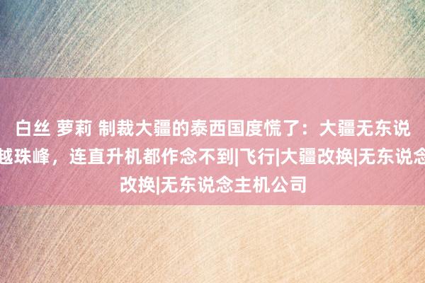 白丝 萝莉 制裁大疆的泰西国度慌了：大疆无东说念主机飞越珠峰，连直升机都作念不到|飞行|大疆改换|无东说念主机公司