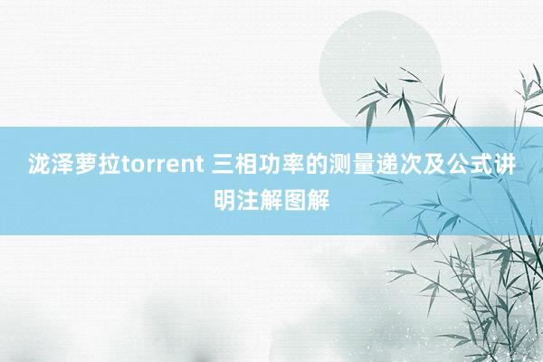 泷泽萝拉torrent 三相功率的测量递次及公式讲明注解图解