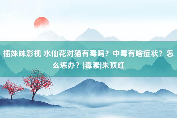 插妹妹影视 水仙花对猫有毒吗？中毒有啥症状？怎么惩办？|毒素|朱顶红