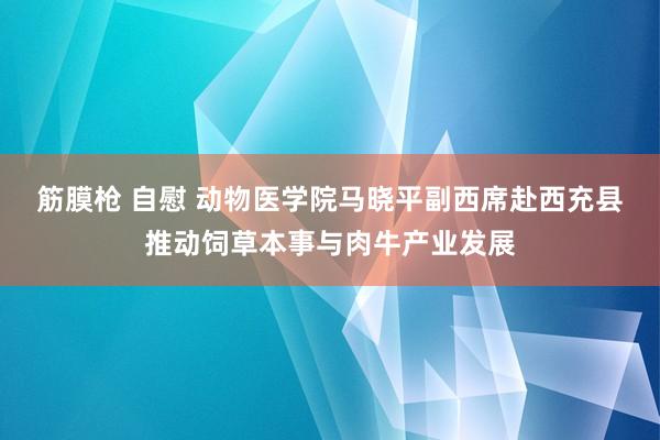 筋膜枪 自慰 动物医学院马晓平副西席赴西充县推动饲草本事与肉牛产业发展