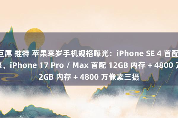 巨屌 推特 苹果来岁手机规格曝光：iPhone SE 4 首配 OLED 屏幕、iPhone 17 Pro / Max 首配 12GB 内存 + 4800 万像素三摄