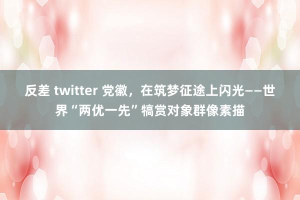 反差 twitter 党徽，在筑梦征途上闪光——世界“两优一先”犒赏对象群像素描