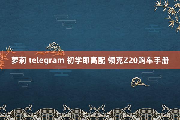 萝莉 telegram 初学即高配 领克Z20购车手册